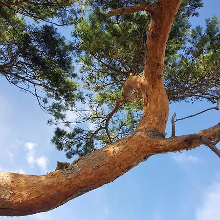 14 Person In بيت للعطل *